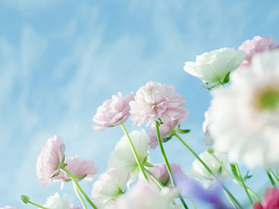 今年青岛品牌日系列活动7月17日启幕